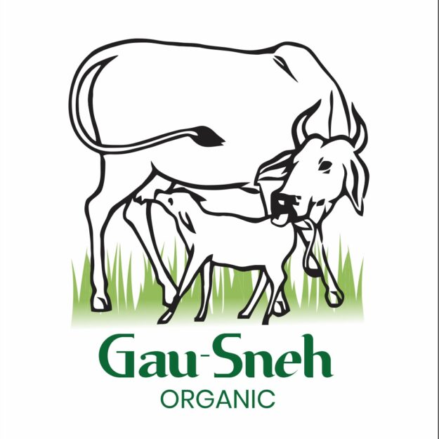 GauSneh